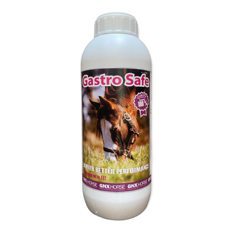 Gastro Safe 1 Lt