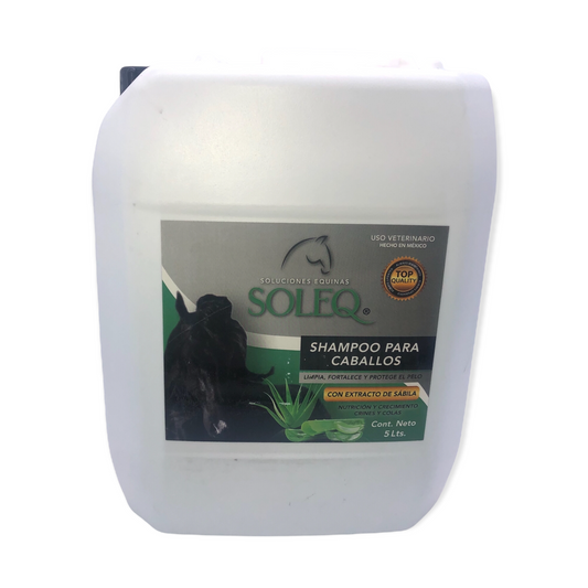 Shampoo Sábila 5 Lts