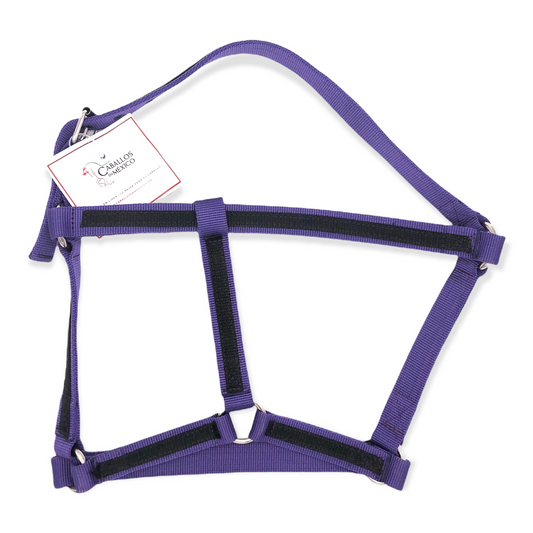 Almartigon Economico CH