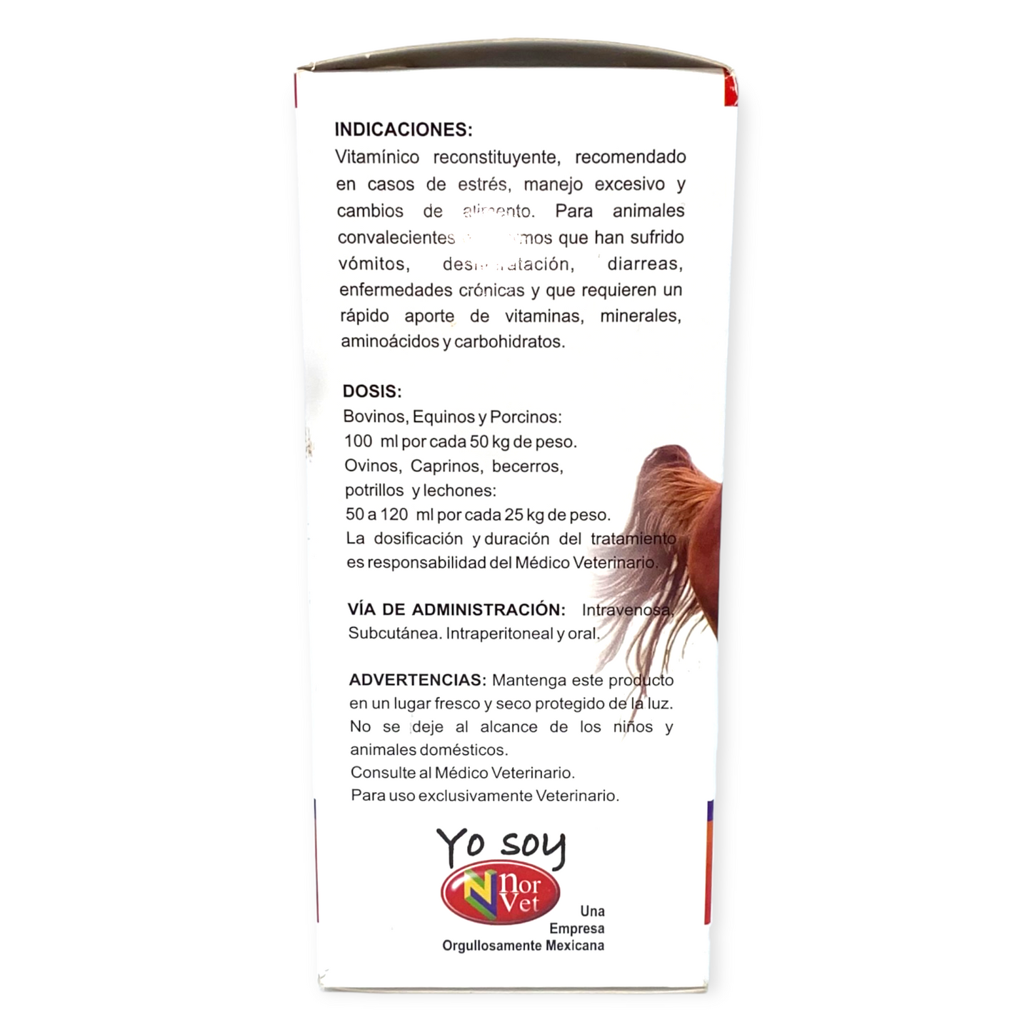 Ener-Jet Lite Plus 500 ml