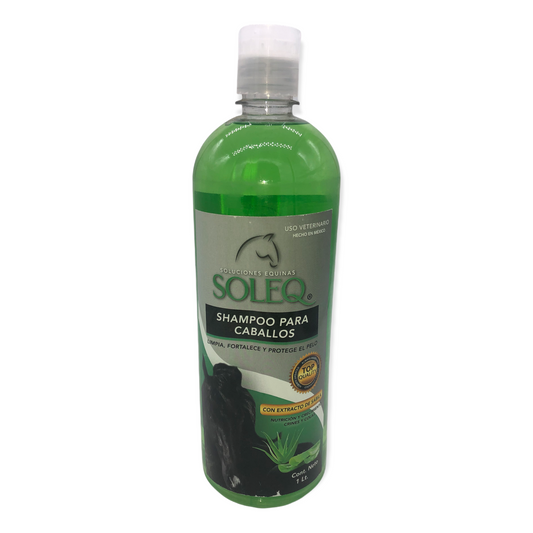 Shampoo Sábila