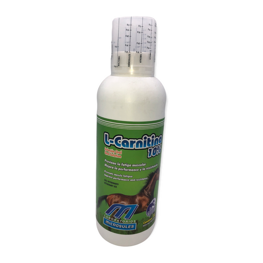 L-Carnitina 1LT